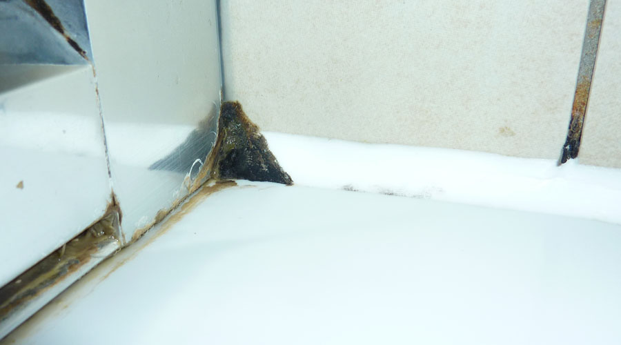 Mould has formed in the corner of this shower where water has become trapped