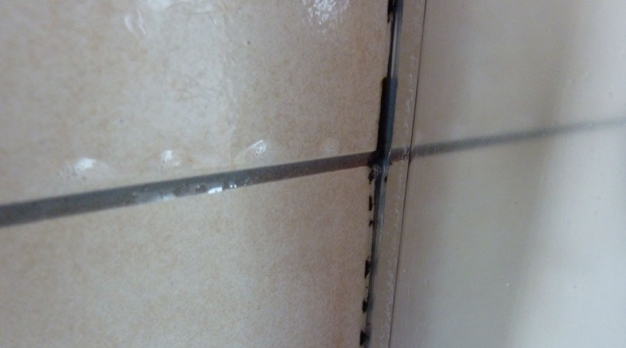 Mould growing on the grout and tiles in a bathroom