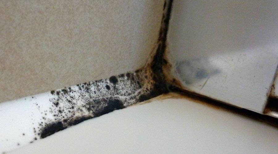Mould growth on the silicone sealant in a shower enclosure